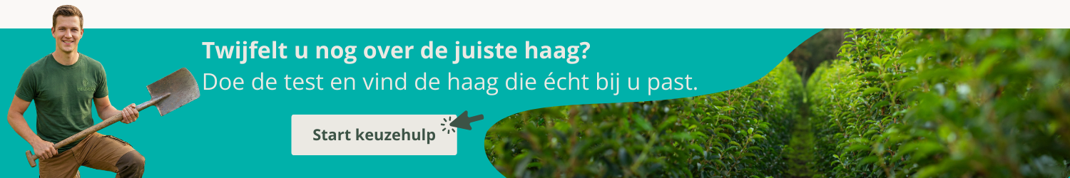 Keuzehulp