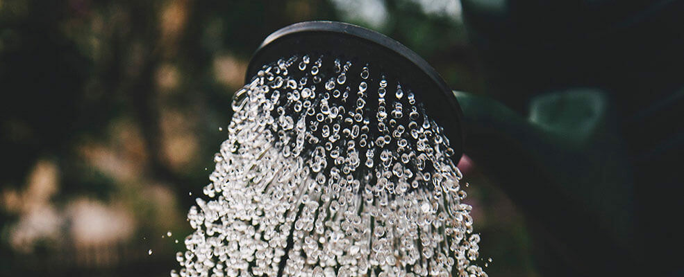 TIPS - Hoe vaak en hoeveel water geef je nieuwe planten?